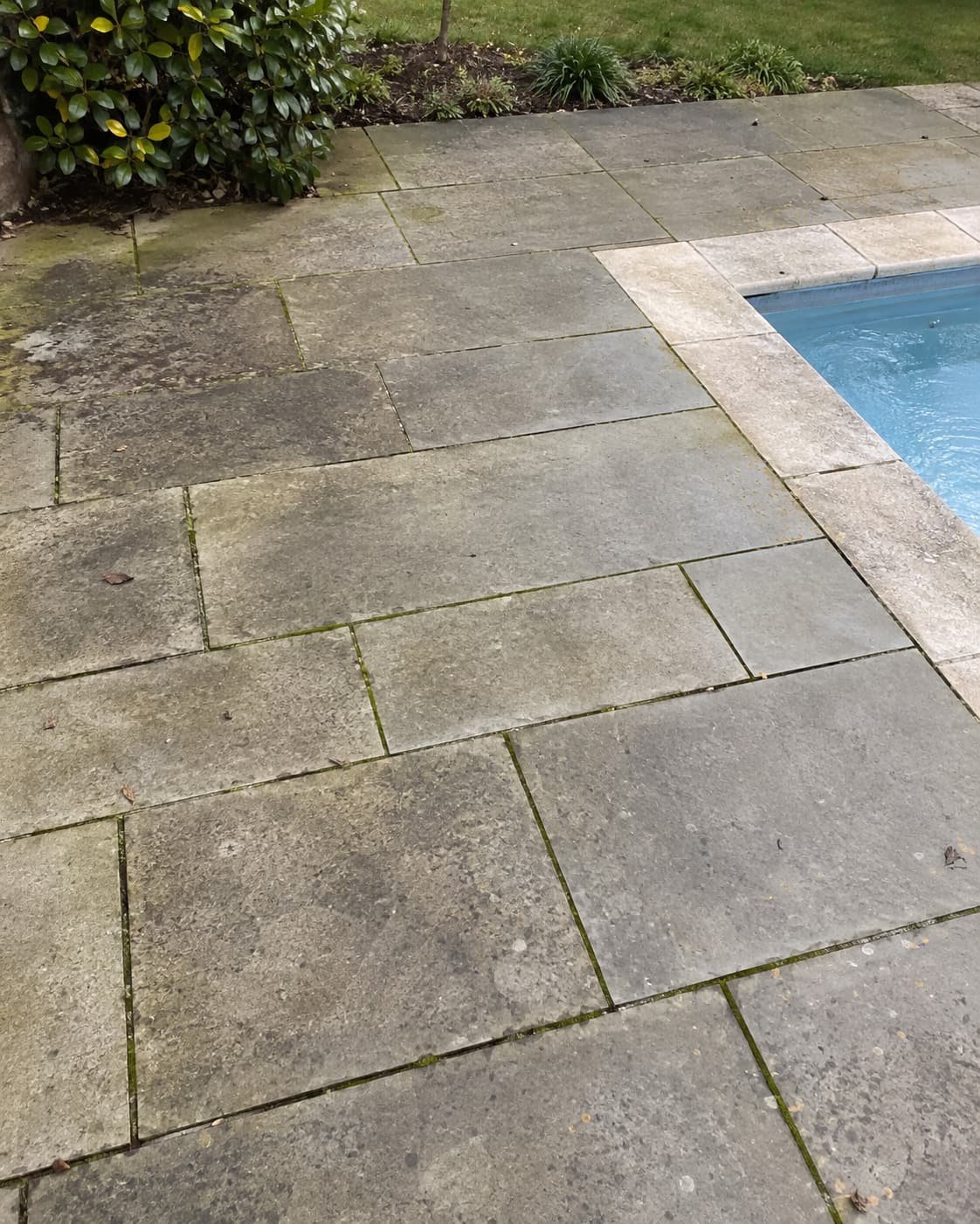 Patio paving around a pool with moss in the joints before cleaning