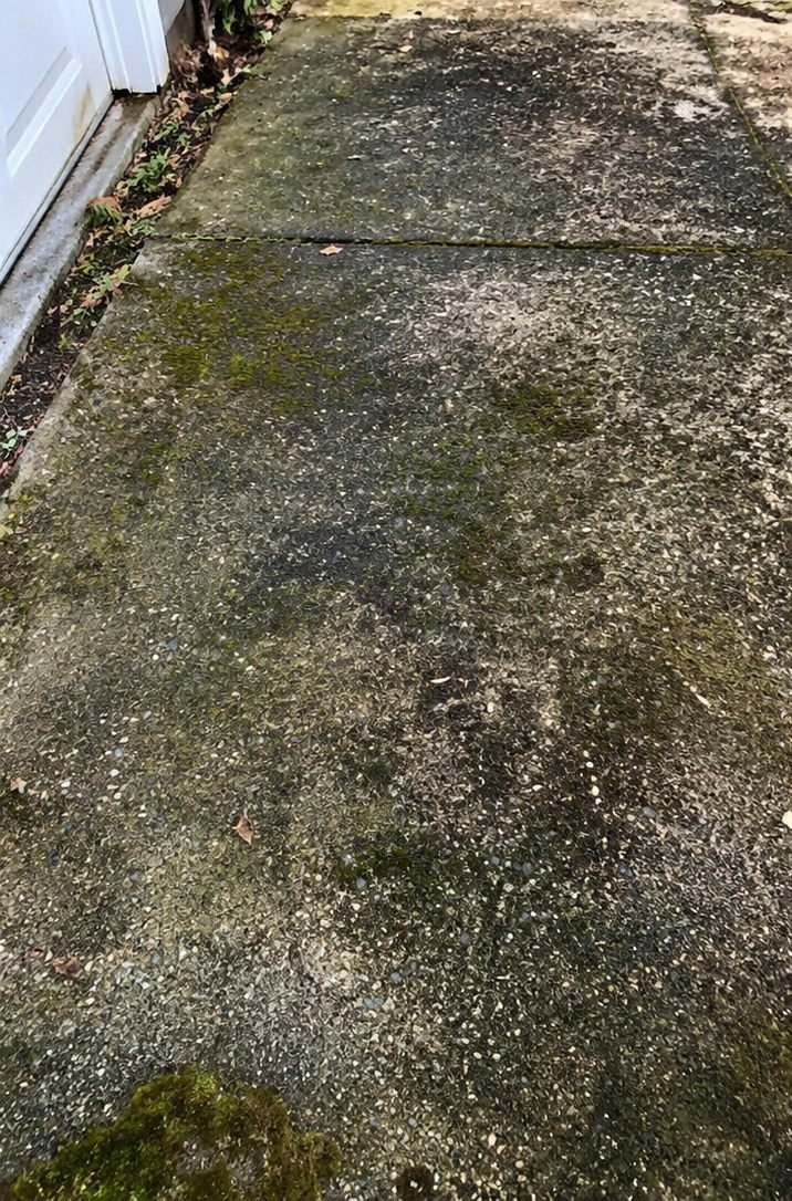 Concrete driveway path before cleaning, green with moss