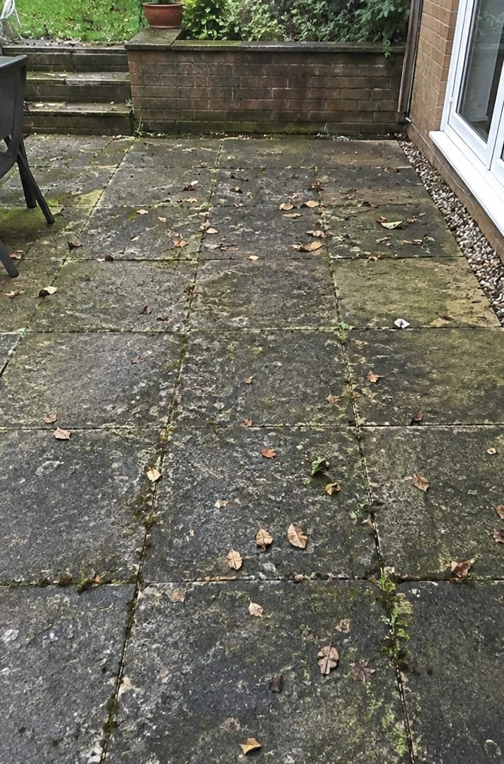 Patio paving slabs before cleaning, covered in moss and algae
