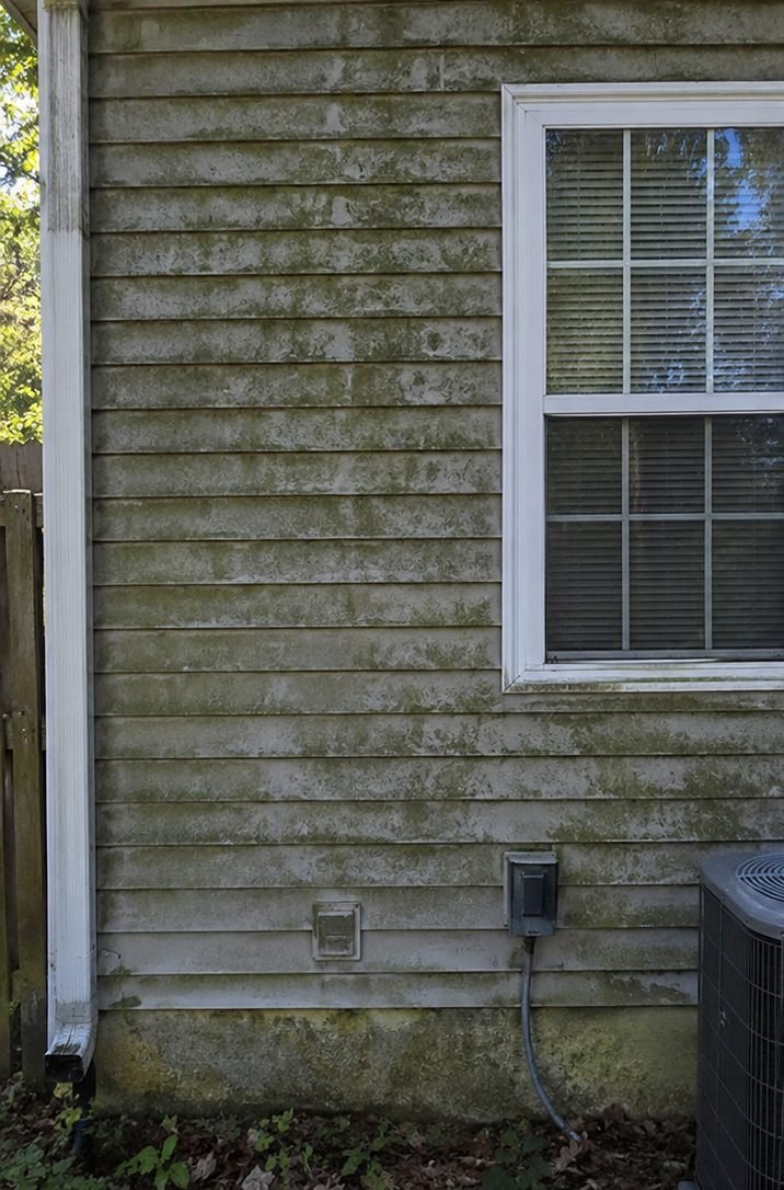 Exterior wall before cleaning, streaked with green algae